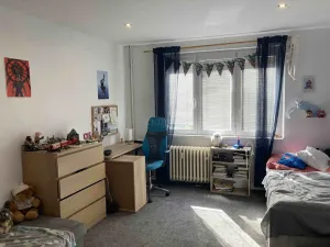 Prodej bytu 3+1, Ostrov, Kollárova, 71 m2