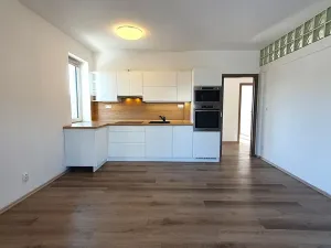 Pronájem bytu 3+kk, Nová Ves pod Pleší, Řadová, 66 m2