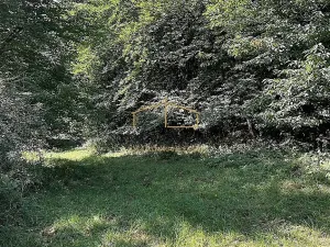 Prodej sadu/vinice, Ondřejov, Břeský vrch, 3453 m2