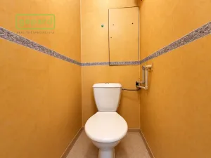 Prodej bytu 3+1, Chodov, ČSA, 68 m2