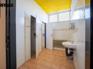 Pronájem komerční nemovitosti, Vysoké nad Jizerou, 520 m2