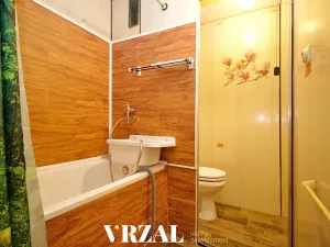 Pronájem bytu 1+kk, Plzeň, Ledecká, 39 m2