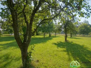 Prodej rodinného domu, Mikulovice, Nábřežní, 358 m2