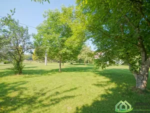 Prodej rodinného domu, Mikulovice, Nábřežní, 358 m2