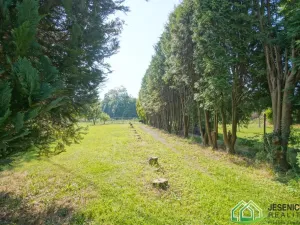Prodej rodinného domu, Mikulovice, Nábřežní, 358 m2