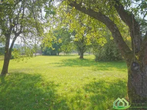 Prodej rodinného domu, Mikulovice, Nábřežní, 358 m2