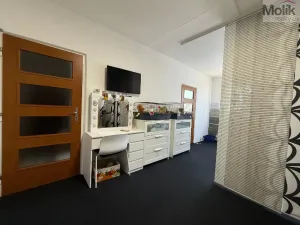 Pronájem bytu 2+1, Bílina - Teplické Předměstí, Sídliště Za Chlumem, 65 m2