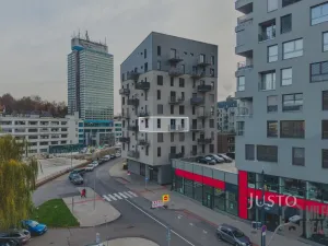 Pronájem bytu 1+kk, Liberec - Liberec III-Jeřáb, U Nisy, 54 m2