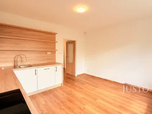 Pronájem rodinného domu, Liberec - Liberec IV-Perštýn, U Krematoria, 210 m2