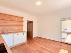 Pronájem rodinného domu, Liberec - Liberec IV-Perštýn, U Krematoria, 210 m2