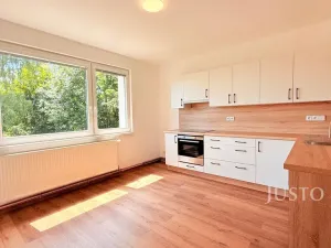 Pronájem rodinného domu, Liberec - Liberec IV-Perštýn, U Krematoria, 210 m2