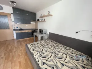 Pronájem bytu 1+kk, Břeclav, Seniorů, 34 m2