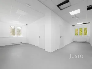 Pronájem ordinace, Liberec - Liberec IV-Perštýn, Dr. Milady Horákové, 30 m2