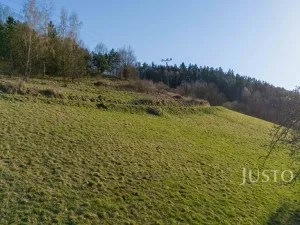 Prodej pozemku pro bydlení, Líšný - Líšný 2.díl, 6114 m2