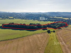 Prodej lesa, Hamr na Jezeře - Břevniště, 36850 m2