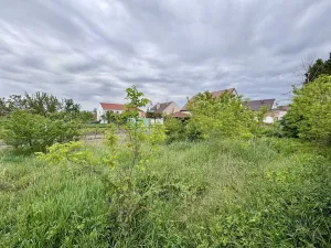 Prodej pozemku, Jevišovka, Nádražní, 750 m2