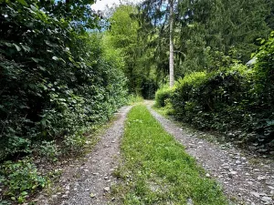 Prodej pozemku, Štěchovice - Masečín, 820 m2
