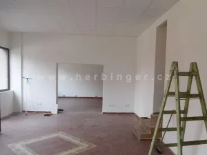 Prodej rodinného domu, Ostrava - Vítkovice, Mírová, 1391 m2