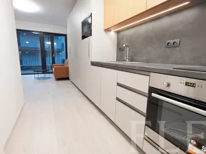 Pronájem bytu 1+kk, Praha - Žižkov, Hartigova, 34 m2
