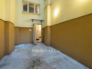 Prodej bytu 4+kk, Praha - Žižkov, Viklefova, 100 m2