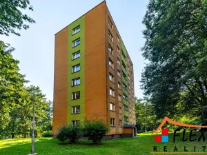 Pronájem bytu 3+1, Orlová, Kpt. Jaroše, 55 m2