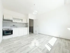 Prodej bytu 1+1, Jílové, 36 m2