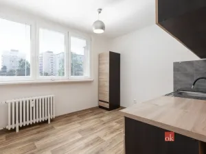 Prodej bytu 1+1, Opava - Kateřinky, Grudova, 35 m2
