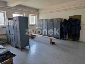 Pronájem komerční nemovitosti, Kunovice, Na Záhonech, 250 m2