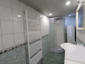 Prodej rodinného domu, Bílina - Pražské Předměstí, Pražská, 252 m2