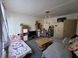 Prodej bytu 1+1, Most, K. H. Borovského, 26 m2