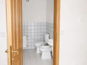 Pronájem atypického bytu, Tuchoměřice, V Kněžívce, 160 m2