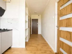 Prodej bytu 1+1, Bílina - Pražské Předměstí, Fügnerova, 34 m2