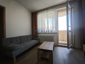 Pronájem bytu 1+1, České Budějovice - České Budějovice 2, N. Frýda, 42 m2