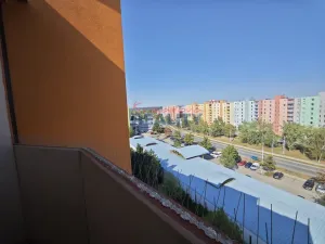 Pronájem bytu 1+1, České Budějovice - České Budějovice 2, N. Frýda, 42 m2