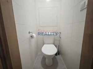 Pronájem bytu 1+1, České Budějovice - České Budějovice 2, N. Frýda, 42 m2