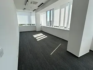 Pronájem kanceláře, Brno, Jana Babáka, 31 m2