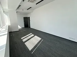 Pronájem kanceláře, Brno, Jana Babáka, 31 m2