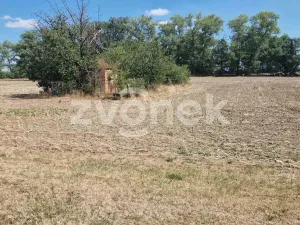 Prodej pozemku pro bydlení, Veselí nad Moravou, Topolová, 598 m2