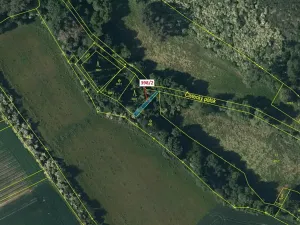 Dražba lesa, Břežany, 63 m2