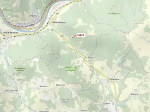 Dražba lesa, Malé Březno, 169 m2