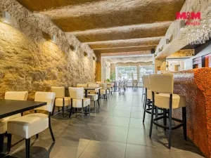 Prodej restaurace, Brušperk, náměstí J. A. Komenského, 350 m2
