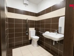 Prodej ubytování, Slavonice, Nádražní, 440 m2