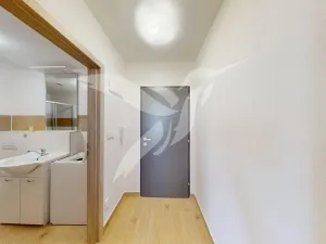 Pronájem bytu 1+kk, Dnešice, Dnešice, 25 m2