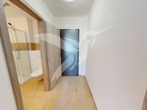 Pronájem bytu 3+kk, Dnešice, Dnešice, 44 m2