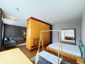 Pronájem bytu 3+kk, Brno, Mášova, 80 m2