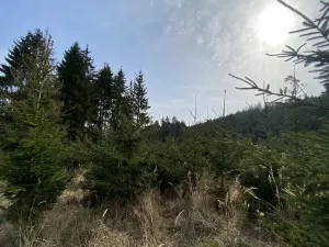 Prodej louky, Městečko Trnávka - Lázy, 1410 m2