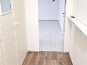Pronájem bytu 1+1, Ostrava, Senovážná, 38 m2