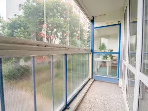 Pronájem bytu 1+1, Kolín, Na Magistrále, 30 m2