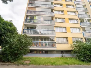 Pronájem bytu 1+1, Kolín, Na Magistrále, 30 m2
