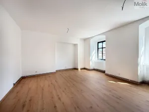 Pronájem bytu 2+kk, Osek, Tovární, 52 m2
